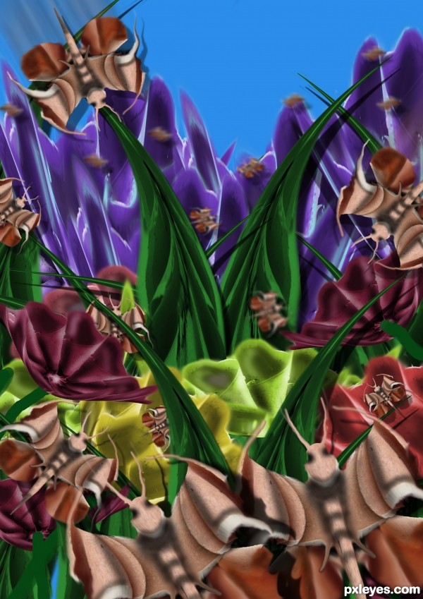 Creation of butterworld: Step 7